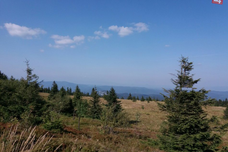 Ilustračný obrázok k článku Ministerstvo chce lepšiu ochranu lesov v chránených územiach: Prišlo s memorandom