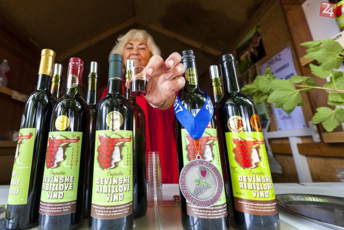 Ilustračný obrázok k článku Devínske vinobranie: Ochutnajte prvý burčiak v malokarpatskom regióne
