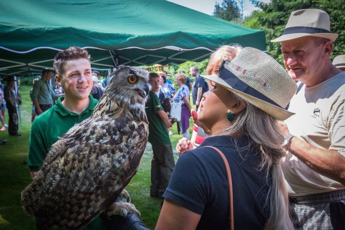 Ilustračný obrázok k článku Nahliadnite do sveta poľovníkov: Takýto program je pripravený na Deň sv. Huberta