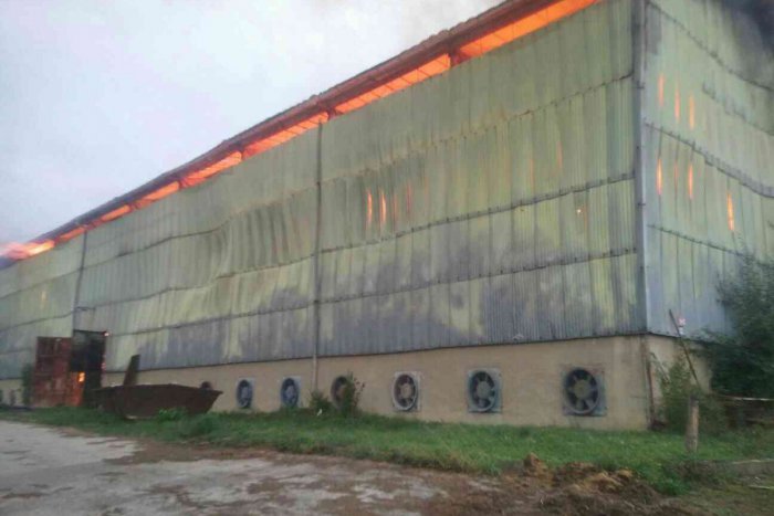 Ilustračný obrázok k článku Poplach pri dedine neďa leko Mikuláša: V akcii desiatky hasičov!