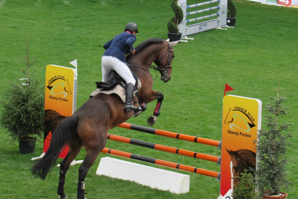 Ilustračný obrázok k článku Prešovčanov určite zaujme: V našom meste sprístupnili výstavu Koňare