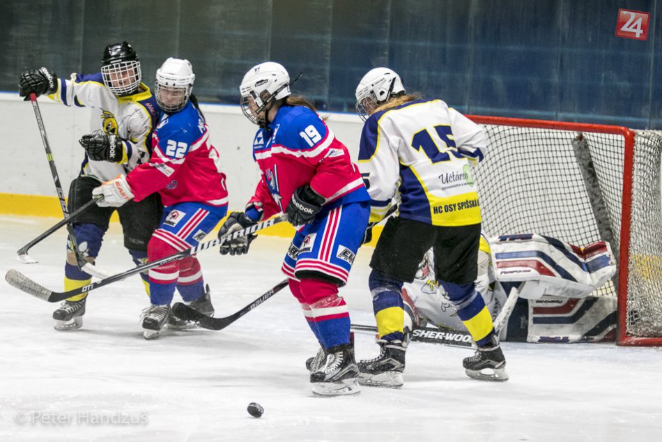 Ilustračný obrázok k článku Plný bodový zápis: Popradské líšky zdolali Osy zo Spišskej Novej Vsi