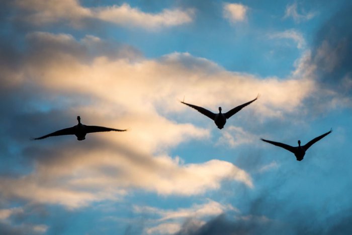 Ilustračný obrázok k článku RANNÁ ŠTVORKA: Začína Medzinárodný týždeň nepočujúcich, meniny má Vladislav