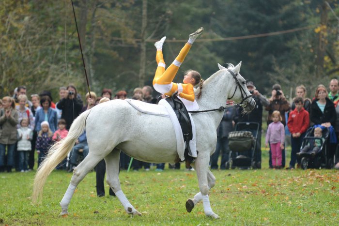 Ilustračný obrázok k článku Voltížni jazdci opäť súťažili:  Cien získali neúrekom