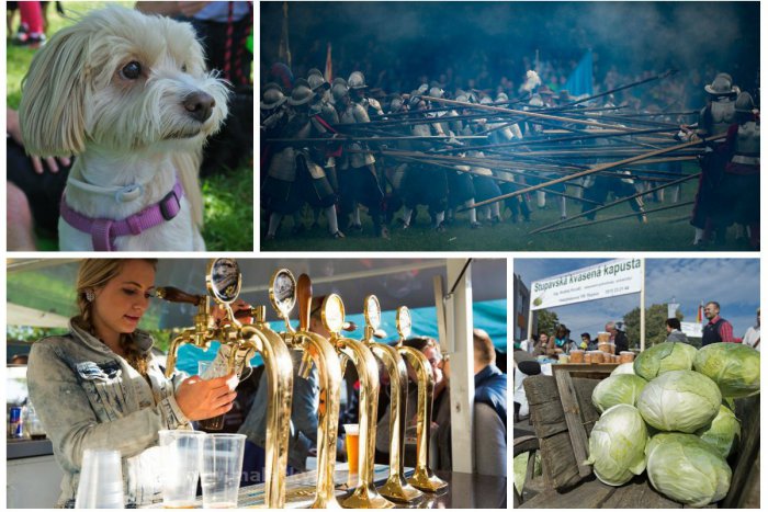 Ilustračný obrázok k článku TIPY NA VÍKEND: Stupavské Dni zelá, Karloveské hody a veľkolepá Bitka o Bratislavu