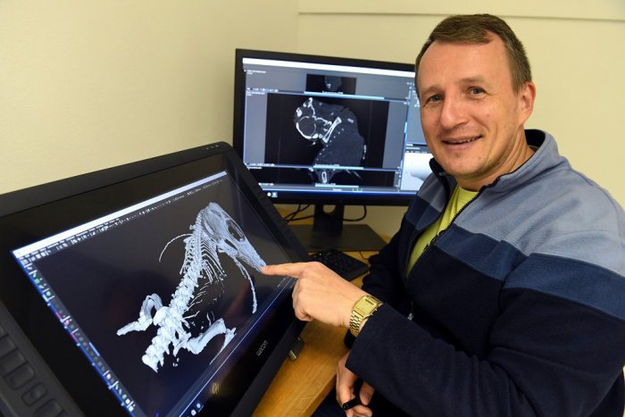 Ilustračný obrázok k článku Veľký rozhovor s oceneným Humenčanom: Keď sa z detského sna stane realita!