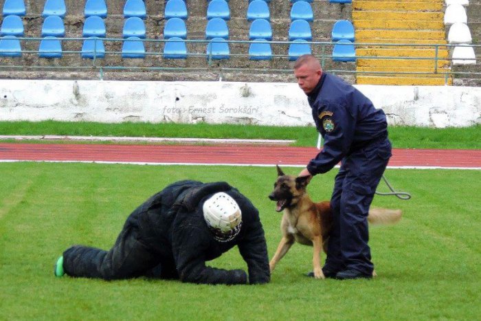 Ilustračný obrázok k článku Na Sihoti sa bojovalo o Pohár náčelníka: Medzi najlepšími i psovodi zo Zámkov