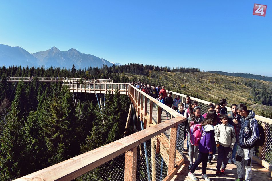 Ilustračný obrázok k článku Žiaci z Podhradia v korunách stromov: Tie výhľady musíte vidieť! FOTO