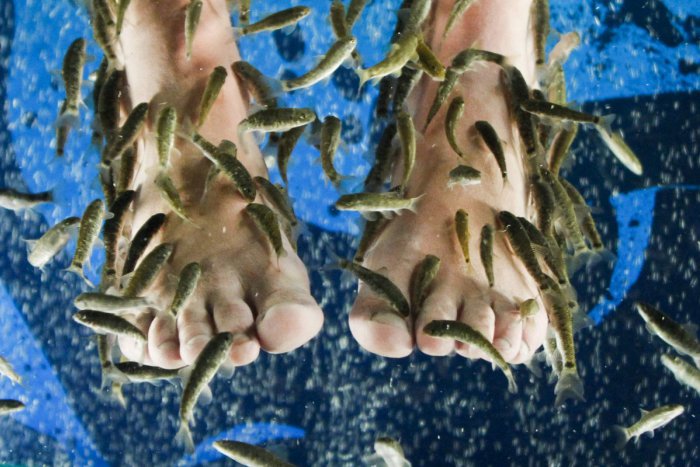 Ilustračný obrázok k článku Psoriázou trpia desaťtisíce Slovákov: Postihuje aj nechty