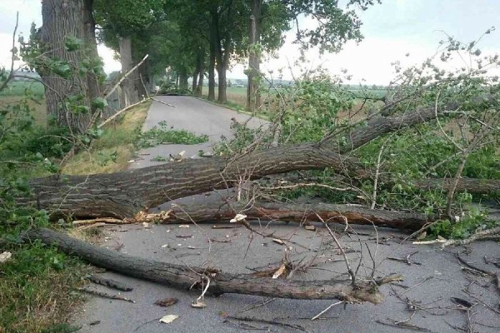 Ilustračný obrázok k článku Silný vietor rúcal v Banskobystrickom kraji stromy. Kde mali hasiči najviac výjazdov?