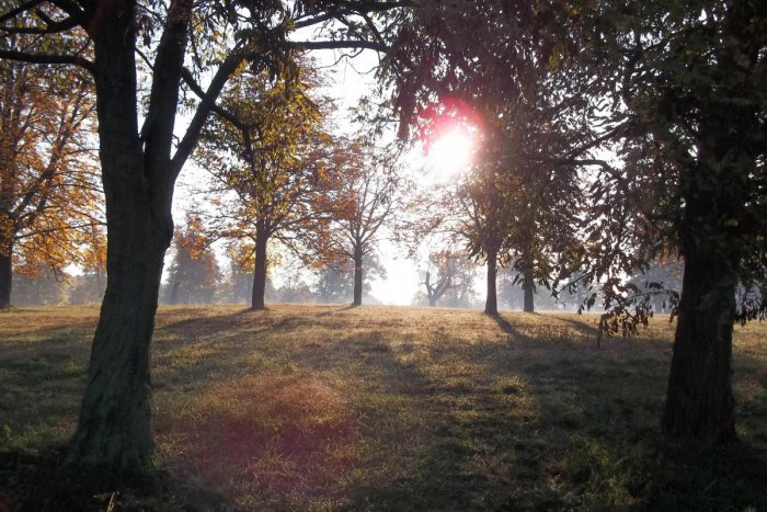 Ilustračný obrázok k článku Jeseň je v plnom prúde: S ňou prichádza aj víkendová pohoda
