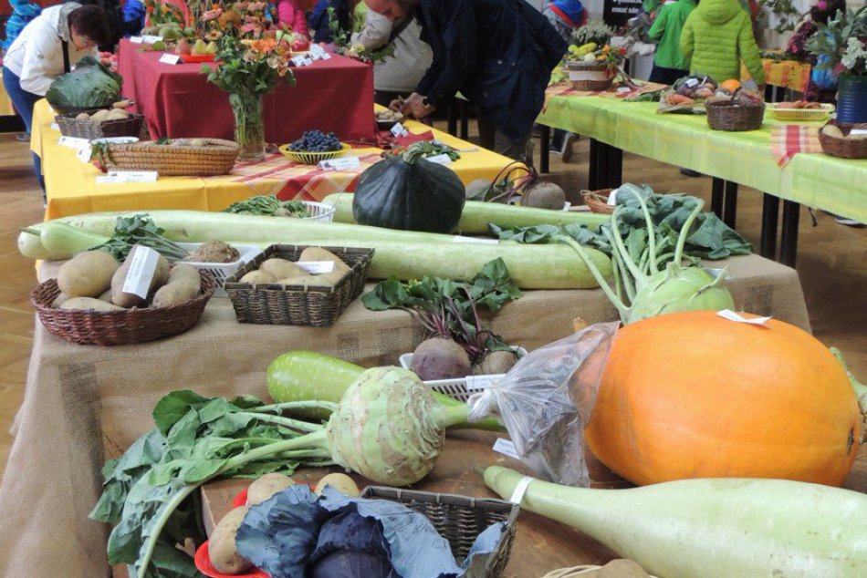 Ilustračný obrázok k článku Kremnické jablko nesklamalo: Gigantické zemiaky aj destilát, na ktorý treba odvahu, FOTO