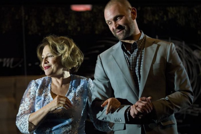 Ilustračný obrázok k článku V novej hre Divadla Aréna Sklenený zverinec si zahrá Vášáryová aj Maštalír