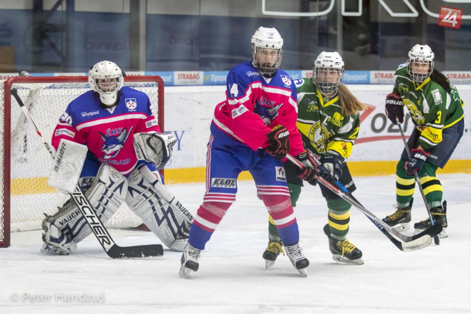 Ilustračný obrázok k článku Popradské líšky tentoraz nezaváhali: Domáca výhra nad Prešovom