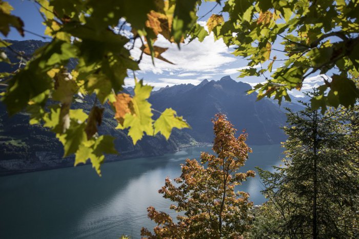 Ilustračný obrázok k článku RANNÁ ŠTVORKA: Týždeň začne polooblačným počasím, meniny má Dionýz