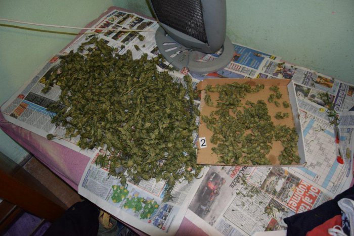 Ilustračný obrázok k článku Razia v dome pri Košiciach, našlo sa kopec trávy: Muž (27) má problém!