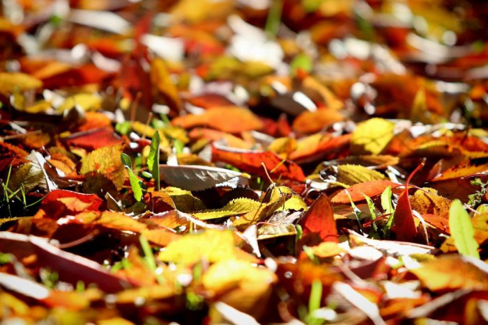 Ilustračný obrázok k článku RANNÁ ŠTVORKA: Dnes je Svetový deň duševného zdravia, teploty do 16 stupňov