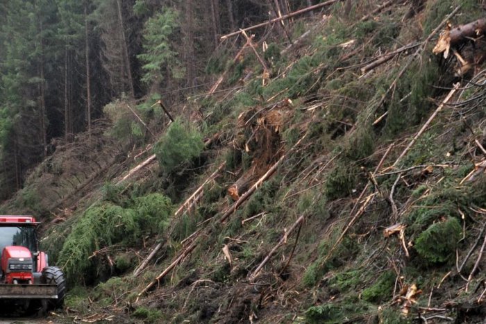 Ilustračný obrázok k článku Tragédia na Liptove: V Račkovej doline zahynul lesný robotník († 32)