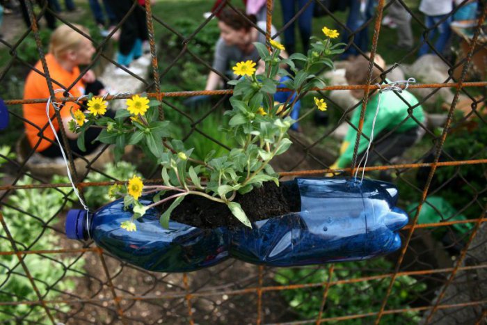 Ilustračný obrázok k článku 11 bratislavských škôl sa pýši titulom Zelená škola