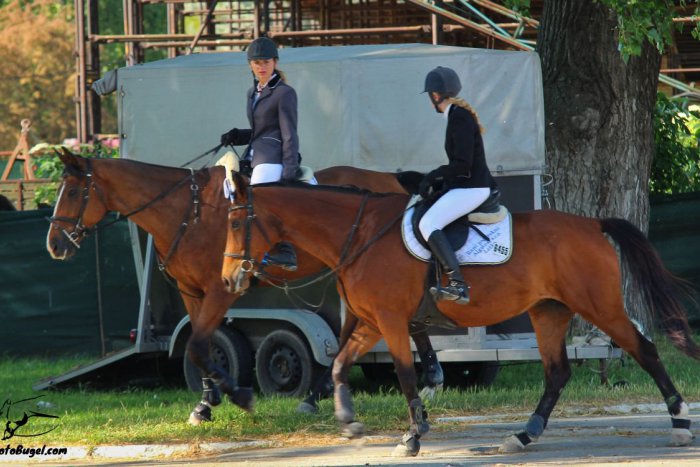 Ilustračný obrázok k článku V škole sa venujú koňom a jazdectvu: V Šali zhodnotili uplynulú sezónu