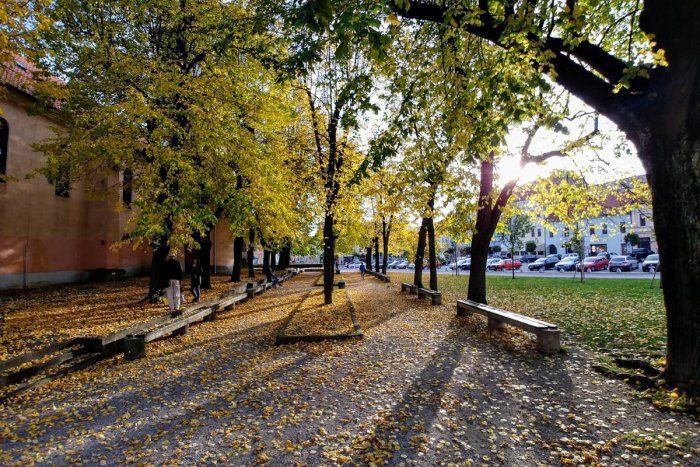 Ilustračný obrázok k článku Pätica článkov, ktorú neprehliadnite: Témy, ktoré cez týždeň bodovali najviac