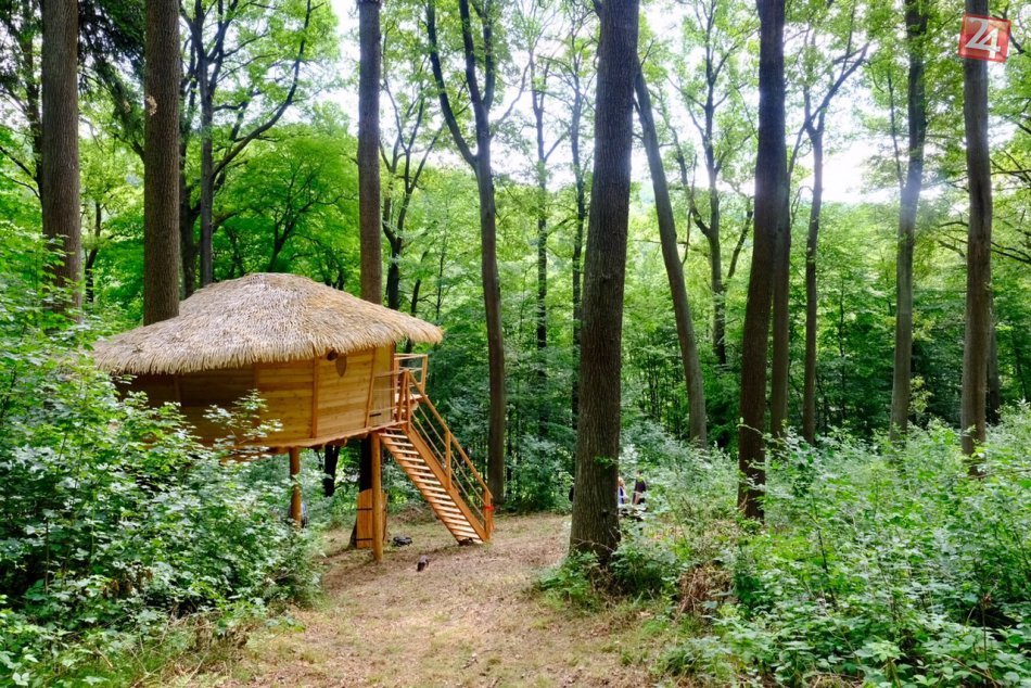 Ilustračný obrázok k článku Mesto iniciuje vytvorenie národného parku v Malých Karpatoch