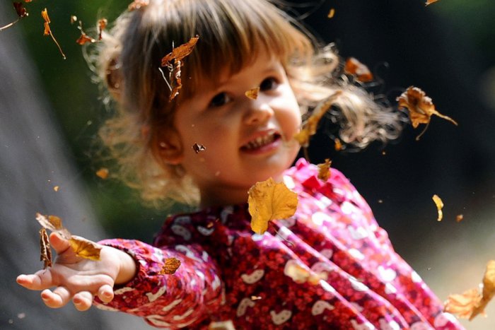 Ilustračný obrázok k článku Bratislava si užíva babie leto. Slnečné počasie s teplotami nad +20°C potrvá ešte týždeň