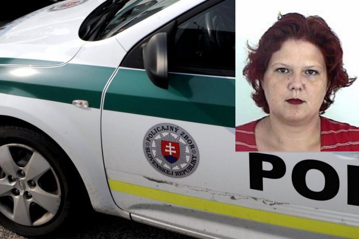 Ilustračný obrázok k článku Polícia prosí o pomoc: Pátra po Trnavčanke (44)