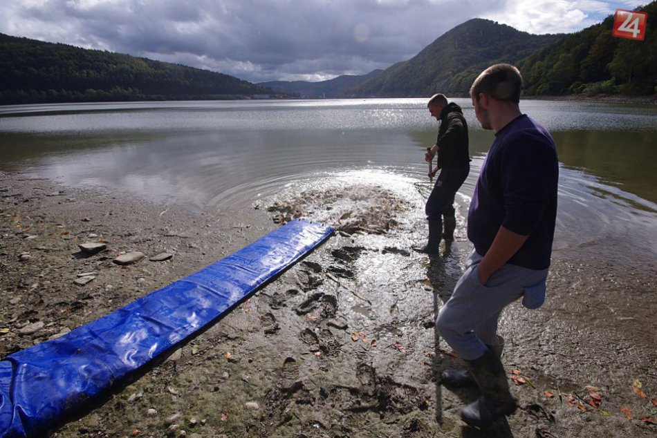 Ilustračný obrázok k článku Rybári pri Považskej si prídu na svoje: Nosická priehrada je hneď živšia, FOTO