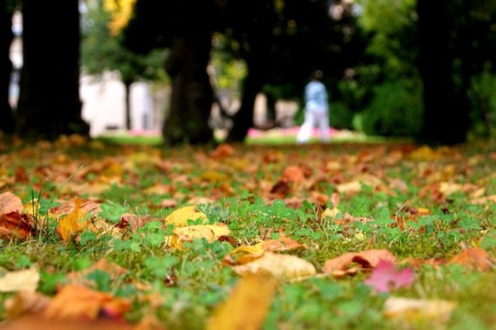 Ilustračný obrázok k článku Čo s načatým týždňom? Tipy ako ušité pre Košičanov!