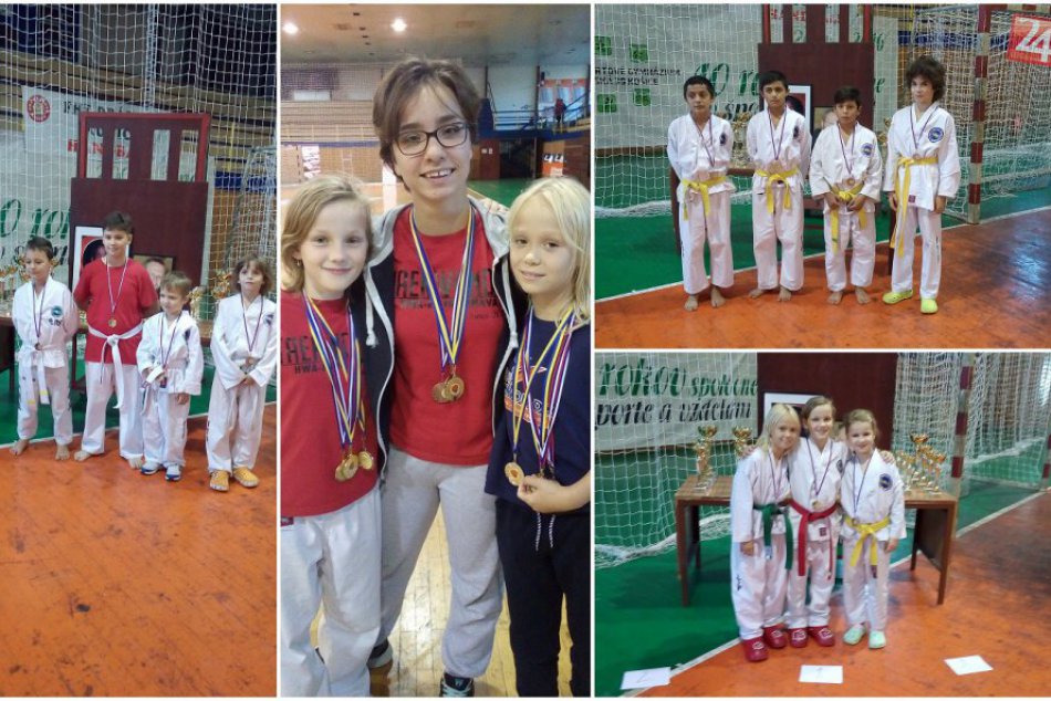 Ilustračný obrázok k článku Trnavskí taekwondisti počas víkendu stihli dve súťaže: Odniesli si celkovo 22 medailí