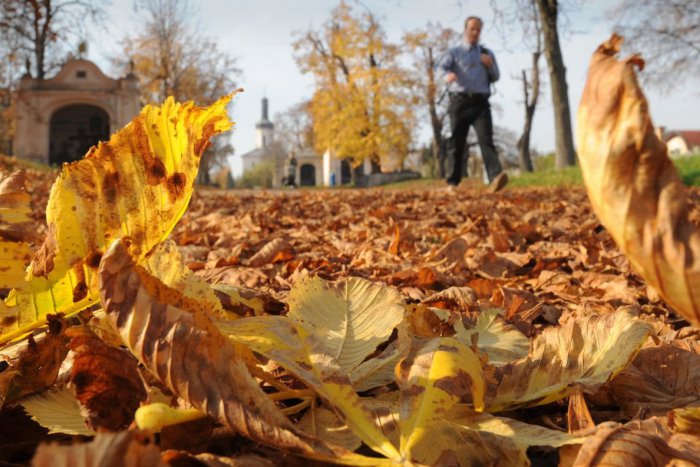Ilustračný obrázok k článku RANNÁ ŠTVORKA: Pred 150 rokmi kúpili Spojené štáty Aljašku, meniny má Lukáš