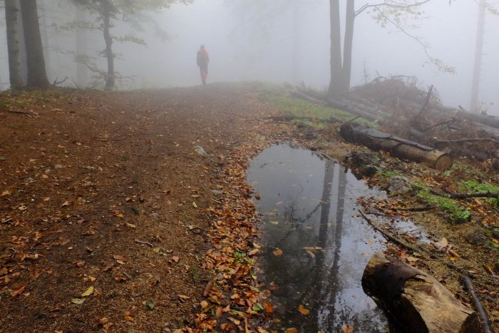 Ilustračný obrázok k článku Na Zobore sa stratil hubár Jaroslav (42) z Nitry: Polícia ho našla po vyše 3 hodinách