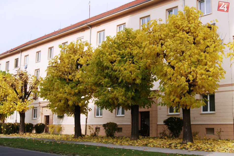 Ilustračný obrázok k článku Táto anketa prehovorila jasnou rečou: Žiar je krajší ako Kremnica!