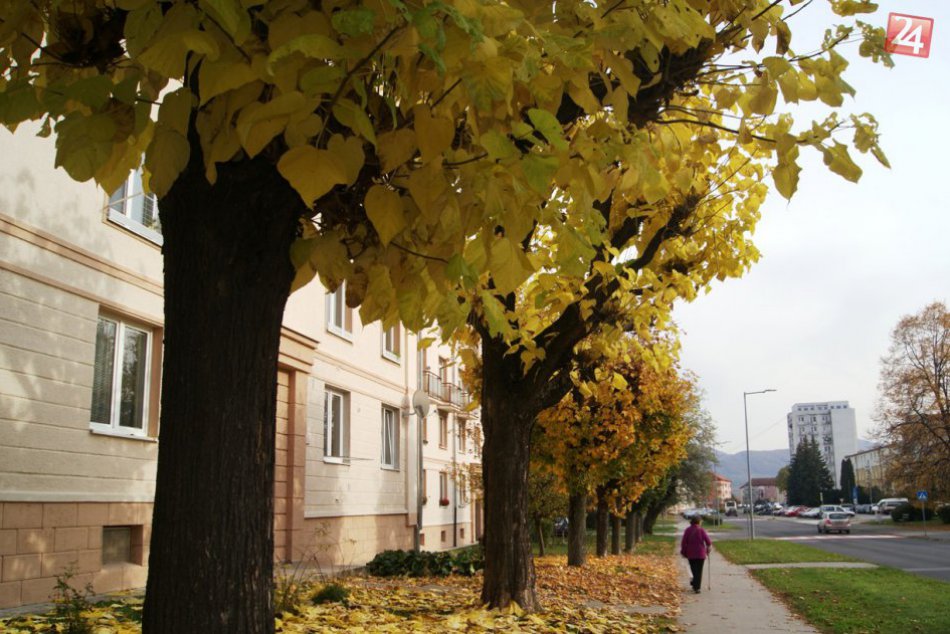 Ilustračný obrázok k článku Spestrite si sychravé dni: 5 tipov zo Žiaru a okolia