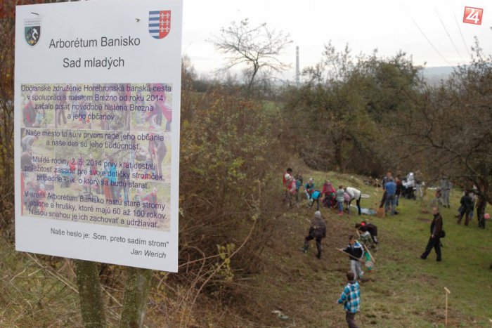 Ilustračný obrázok k článku Máte v rodine prírastok? Malí Brezňania môžu mať vlastný stromček!