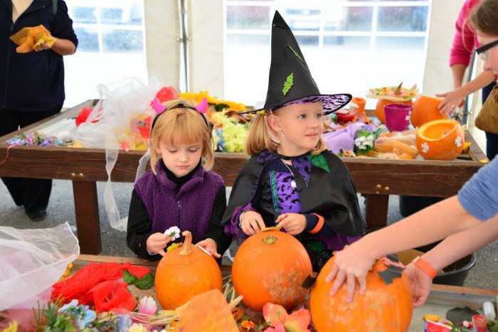 Ilustračný obrázok k článku Oslávte štedrosť jesene na tekvicových slávnostiach