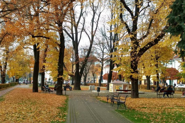 Ilustračný obrázok k článku 5 najklikanejších článkov zo Spišskej a okolia: Toto vás cez týždeň zaujalo najviac