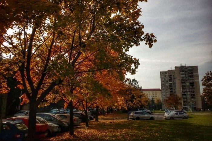 Ilustračný obrázok k článku 5 najklikanejších článkov z Humenného a okolia: Toto vás cez týždeň zaujalo najviac