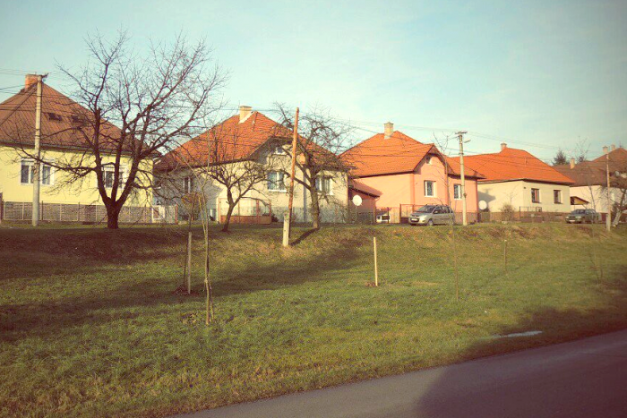 Ilustračný obrázok k článku Dediny, ktorým budú šéfovať ženy: Ružomberský okres má mať tri starostky