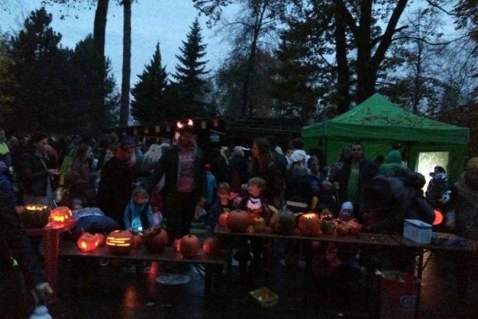 Ilustračný obrázok k článku Rozlúčka so sezónou v zoologickej záhrade: Aha, čo sa tam chystá...