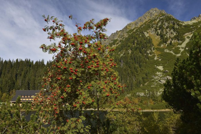 Ilustračný obrázok k článku RANNÁ ŠTVORKA: Vo štvrtok bude polooblačno, teploty do 18 stupňov