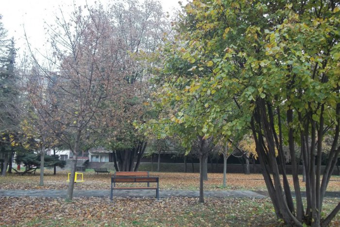 Ilustračný obrázok k článku Predsviatočný víkend si užite naplno: Chladnejšie dni využite návštevou podujatí