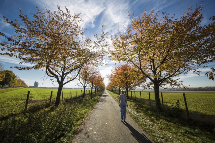 Ilustračný obrázok k článku RADÍME: Pre bezproblémové fungovanie tela je nevyhnutná psychohygiena