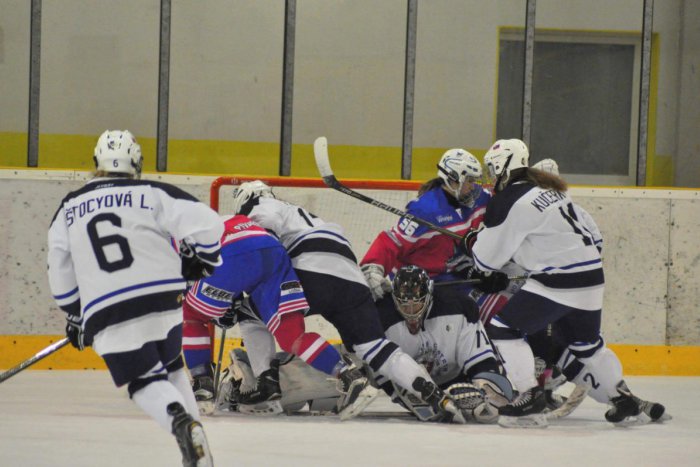 Ilustračný obrázok k článku Líšky odohrali prvý zápas s Bratislavou: Prehra po dobrom výkone