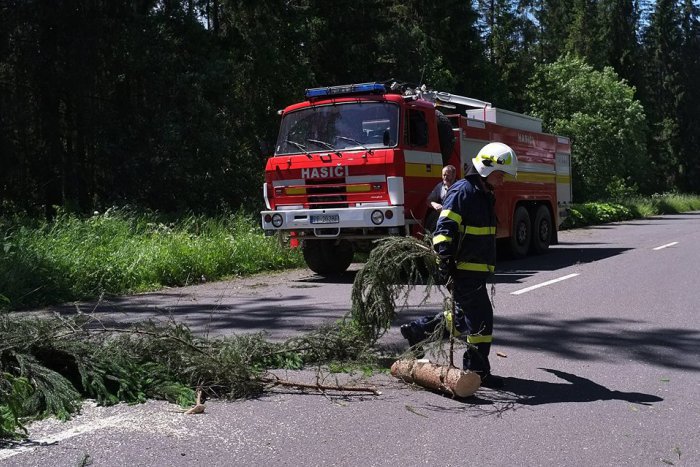 Ilustračný obrázok k článku Hasiči sa od rána nezastavili, zasahujú pri popadaných stromoch na cestách v celom kraji