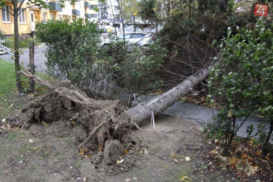 Ilustračný obrázok k článku Silný vietor spôsobil výpadok elektriny aj na východnom Slovensku