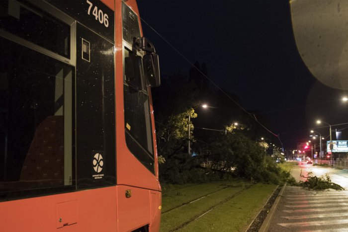 Ilustračný obrázok k článku Veterná smršť spôsobila výpadok elektriny, meškanie vlakov a ovplyvnila migráciu vtáctva