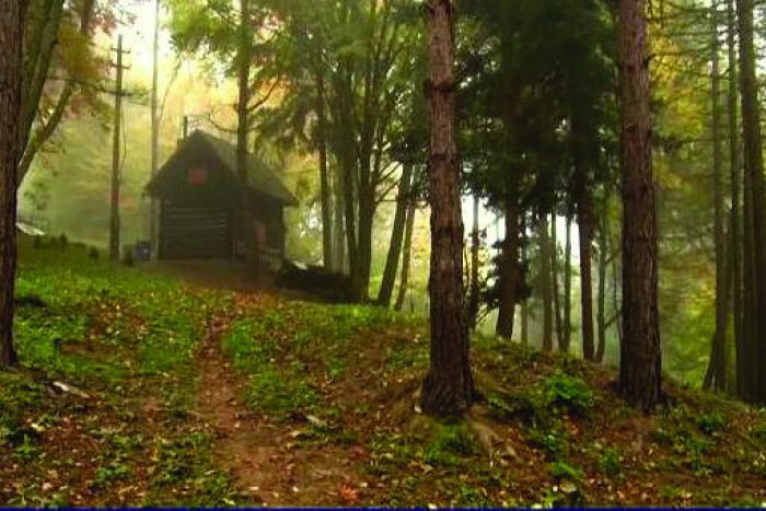 Ilustračný obrázok k článku Krátke správy z minulotýždňových udalostí v Bardejove