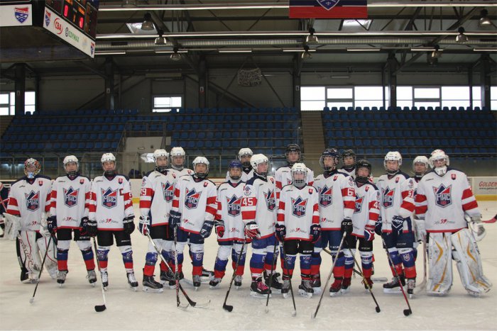 Ilustračný obrázok k článku Ľad by sme mali mať po celý rok